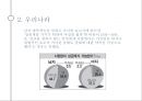 혼전성교에 관한 ppt 발표자료 A++.pptx 24페이지