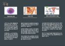 결혼과 임신 - 신혼생활의 성생활에 관한 ppt 발표자료 A++.pptx
 6페이지