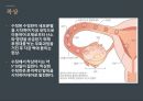 결혼과 임신 - 신혼생활의 성생활에 관한 ppt 발표자료 A++.pptx
 7페이지