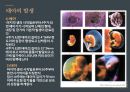 결혼과 임신 - 신혼생활의 성생활에 관한 ppt 발표자료 A++.pptx
 15페이지