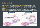 결혼과 임신 - 신혼생활의 성생활에 관한 ppt 발표자료 A++.pptx
 16페이지