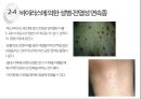 성병 - 각종 성병과 예방법 종류들에 관한 ppt 발표자료.pptx 16페이지