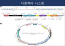 제누피그에 대한 모든것 ppt 발표자료 A++ - 치매유전자를 보유한 복제돼지, 제누피그.pptx 10페이지