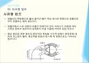 펌프 (pump) 에 관한 모든것 (원리종류기능등) ppt 발표자료 A++.pptx 14페이지