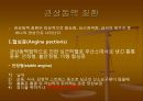 CAG (coronary angiography).ppt 5페이지