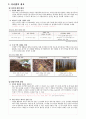 사업계획서 - 클린 석탄(Bio-Leaf) : 클린 석탄(낙엽을 활용한 바이오 에너지) 3페이지