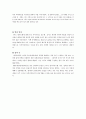 빛의 물리학과 인터스텔라 느낀점 2페이지