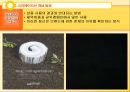 광고 크리에이티브 전략.ppt 15페이지