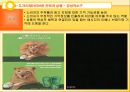 광고 크리에이티브 전략.ppt 35페이지