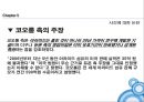 듀폰과 코오롱 인더 간의 아라미드전쟁.pptx 31페이지