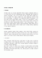 피아제(Piaget)의 인지발달이론(인지발달단계) 2페이지