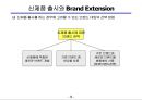 브랜드 포트폴리오(Brand Portfolio).확장.재활성화 전략.ppt 10페이지