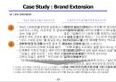 브랜드 포트폴리오(Brand Portfolio).확장.재활성화 전략.ppt 13페이지