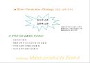 제품수명주기별 브랜드 마케팅 전략 PLC(Product Life Cycle) & Branding(브랜딩).ppt 18페이지