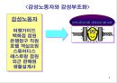 감정과 스트레스.ppt 9페이지