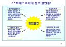 감정과 스트레스.ppt 48페이지