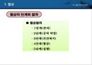갈등과 협동 -갈등해결 협상 친사회적 행동-.pptx 31페이지