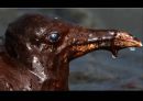 British Petroleum 브리티시 패티놀리움 위기대응 실패사례.pptx 39페이지