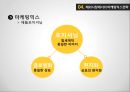 글로벌 제품개발과 마케팅 활동의 조정 13페이지