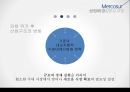 메르코수르(남미공동시장) 이해 8페이지