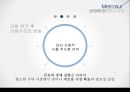 메르코수르(남미공동시장) 이해 9페이지