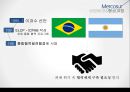 메르코수르(남미공동시장) 이해 13페이지