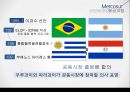 메르코수르(남미공동시장) 이해 14페이지