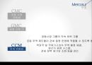 메르코수르(남미공동시장) 이해 19페이지