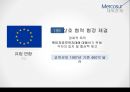 메르코수르(남미공동시장) 이해 21페이지