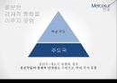 메르코수르(남미공동시장) 이해 28페이지