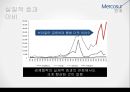메르코수르(남미공동시장) 이해 30페이지