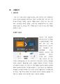 헝거 마케팅 전략 분석 7페이지