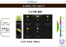 유니레버 글로벌 마케팅전략 10페이지