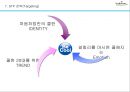 처음처럼 소주 마케팅전략 제안 24페이지