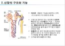 신부전 PPT 발표자료 (신장의 구조와 기능 신부전 투석요법 신장이식).pptx 4페이지