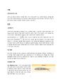 공력보조장치의 종류 2페이지