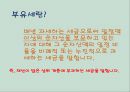 부자들만의 세금,부유세 개념,부유세현황,부유세의 효과,세계의 부유세,부유세의 한계 - 부자들만의 세금, 부유세에 대해서
.pptx 4페이지