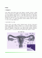 [태내발달] 태내발달단계 태내발달에 영향을 미치는 요인 2페이지