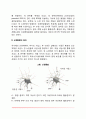 신경전달의 원리(시냅스(synapse)의 구성과 작용원리, 신경통합의 원리, 신경전달의 전기생리학적 원리) 4페이지