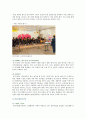 CSR 긍정적 및 부정적 관점 CSR 사례 분석 12페이지