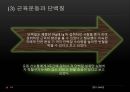 [트레이닝방법론] 트레이닝과 영양 14페이지