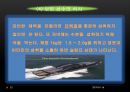 [트레이닝방법론] 트레이닝과 영양 25페이지