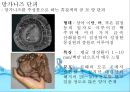  자원으로서의 해양 파트 발표용 PPT 6페이지