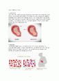 [A+] 아동간호학 CASE 정상아기 normal baby 3페이지