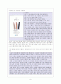 (레포트) 다문화주의와 교육에의 적용 8페이지