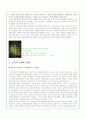 초등도덕교육론 - 콜버그(Kohlberg)의 도덕발달이론 4페이지