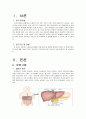 [성인] 간세포암 케이스 3페이지