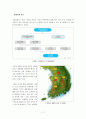 그레이 워터 보고서 11페이지