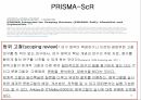 메타분석 발표 53페이지