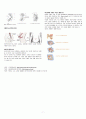 결장암 케이스 (결장암 케이스 ascending colon cancer case study 간호과정 간호진단 문헌고찰 상행결장 케이스) 8페이지